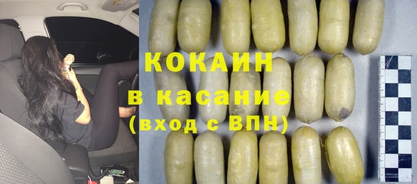 СК Пересвет